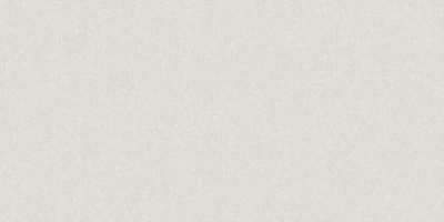 GRES MONOLIGHT EXTERIOR WHITE MX01 R10 RECT 60x120