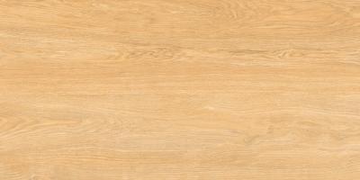 Плитка Cerrad GRES NEOSIMPLE BEIGE RECT 60x120
