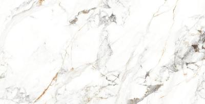 Плитка MEGAGRES Optex JS61232 GOLDEN WHITE 60x120