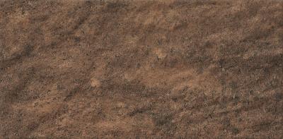 Плитка Cerrad KAMIEN ARGILLA WALNUT 15x30