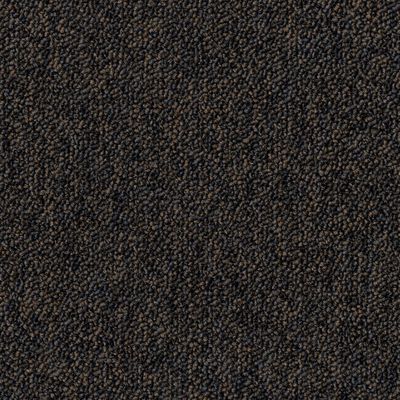 Килимова плитка Desso Natural Nuances 9150