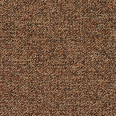 Килимова плитка Desso Tempra 5411