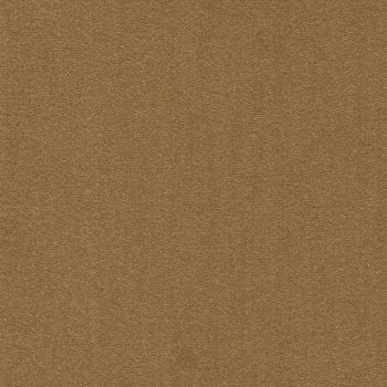 Килимова плитка Modulyss Cambridge 224