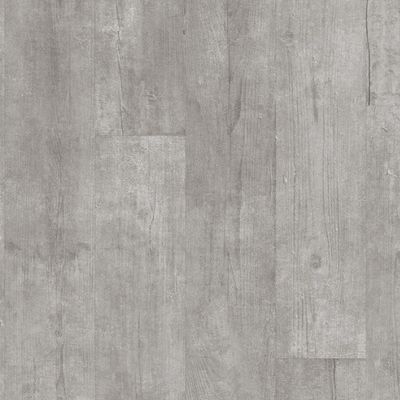 Ламінат Kaindl Easy Touch 8 mm MATT Premium Plank Сосна FROST