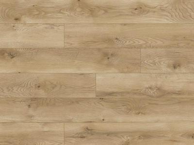 Водостойкий ламинат Classen Legend 4V WR Alcanta Oak 66775