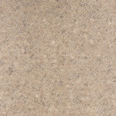Лінолеум Grabo STANDART Diamond Standart Evolution 4253-470 Бежевий