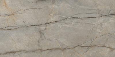 Плитка Raviraj Monalisa Gris 60x120 polished