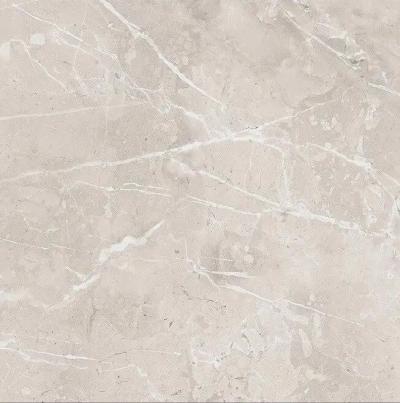 Плитка Raviraj Moon Grey 60x60 polished
