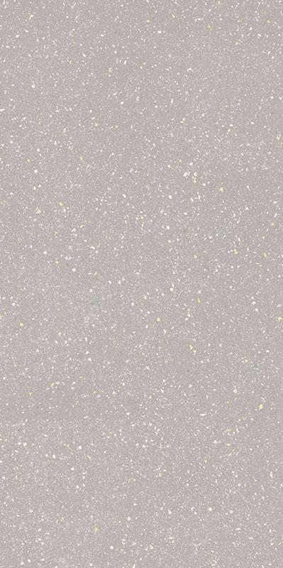 Плитка Paradyz MOONDUST SILVER GRES mat 60x120