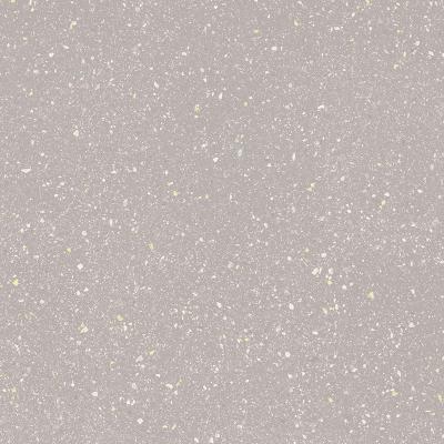 Плитка Paradyz MOONDUST SILVER GRES mat 60x60