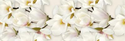 Декор Cersanit NAOMI INSERTO FLOWER 20X60