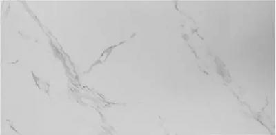 Плитка Kutahya Seramik Naos White RT Polish N 60x120