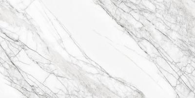 Плитка CERAMA MARKET NATURAL CARRARA 60х120