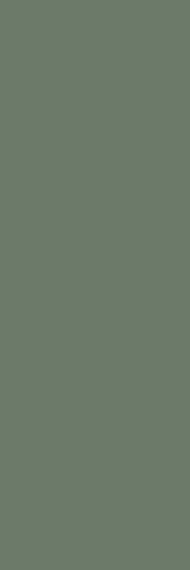 Плитка Paradyz NIGHTWISH GREEN SCIANA 25x75