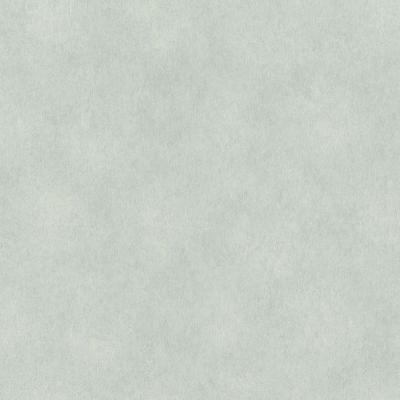 Обои Rasch Raymond 957341