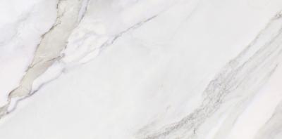 Плитка Opoczno OLIMPIA WHITE GLOSSY 29, 7x60 G1