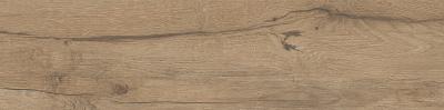 Плитка Opoczno PASSION OAK BROWN MATT RECT 22x89