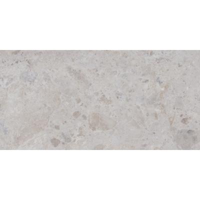 Плитка Argenta Ceramica PETRA GREY 60x120