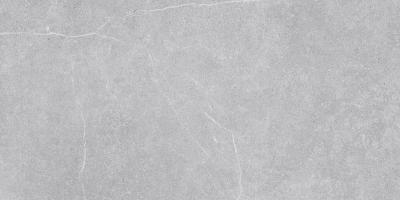 Плитка Tau CERAMICA Novastone Silver Rect. 60x120