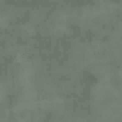 Плитка Pamesa Ceramica Eleganza saggio 60x60