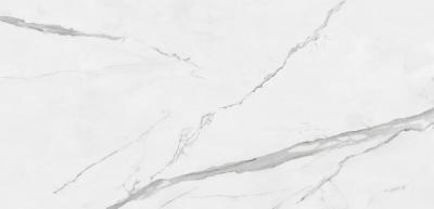 Плитка Pamesa Ceramica Cr. Cellini M. Blanco 60x120