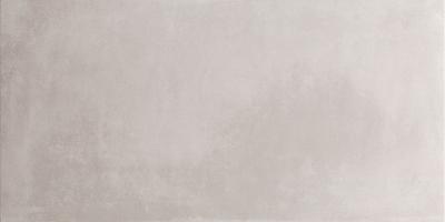 Плитка Pamesa Ceramica ES.ESSEN Ash Rect 60x120