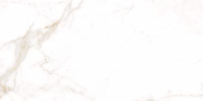 Плитка Allore Group Alcora Gold FL 60x120