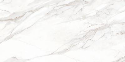 Плитка Allore Group ATTICA WHITE FL 60x120