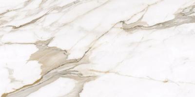Плитка Allore Group Calacatta Gold Full lappato 60x120