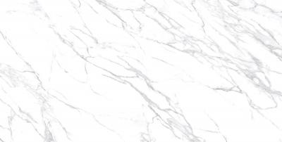 Плитка Allore Group LAZZARO PEARL FL 60x120