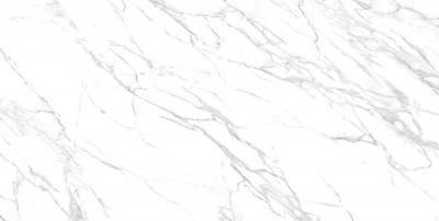 Плитка Allore Group LAZZARO PEARL MAT 60x120