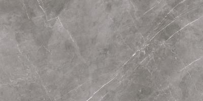 Плитка Allore Group MARMOLINO GREY FL 60x120