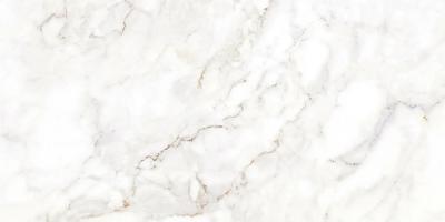 Плитка Allore Group Palazzo White Satin 120x60