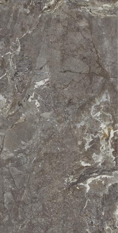 Плитка Allore Group Snake stone Bronze 120x60 Mat