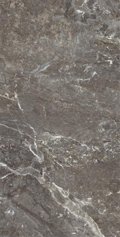 Плитка Allore Group Snake stone Bronze 120x60 Mat