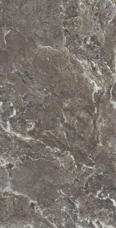 Плитка Allore Group Snake stone Bronze 120x60 Mat