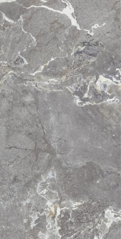Плитка керамограніт Allore Group Snake stone Grey 120x60 Mat