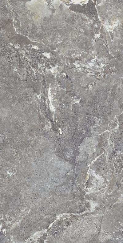 Плитка Allore Group Snake stone Grey 120x60 Mat