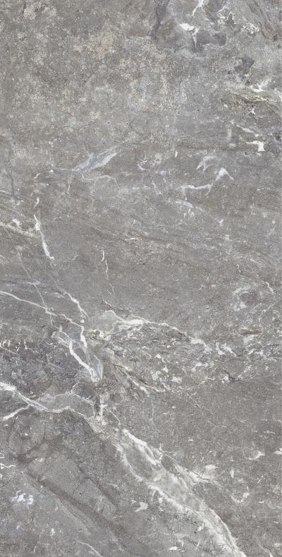 Плитка Allore Group Snake stone Grey 120x60 Mat