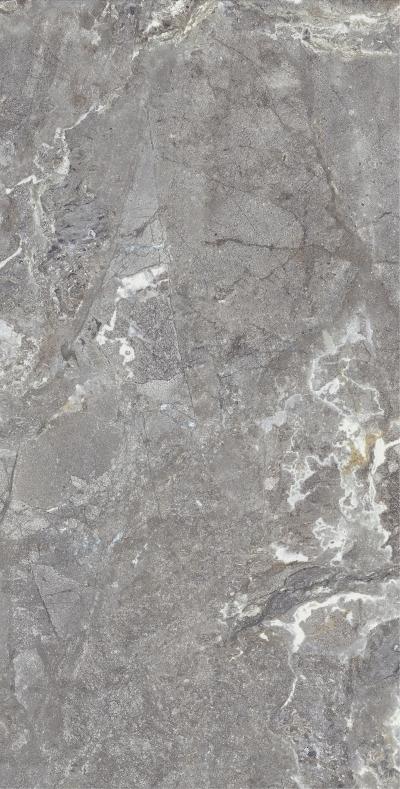 Плитка Allore Group Snake stone Grey 120x60 Mat