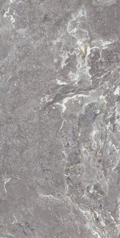 Плитка Allore Group Snake stone Grey 120x60 Mat