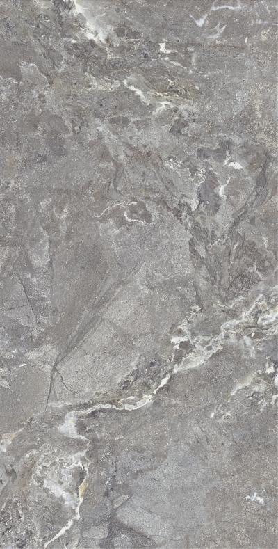 Плитка Allore Group Snake stone Grey 120x60 Mat
