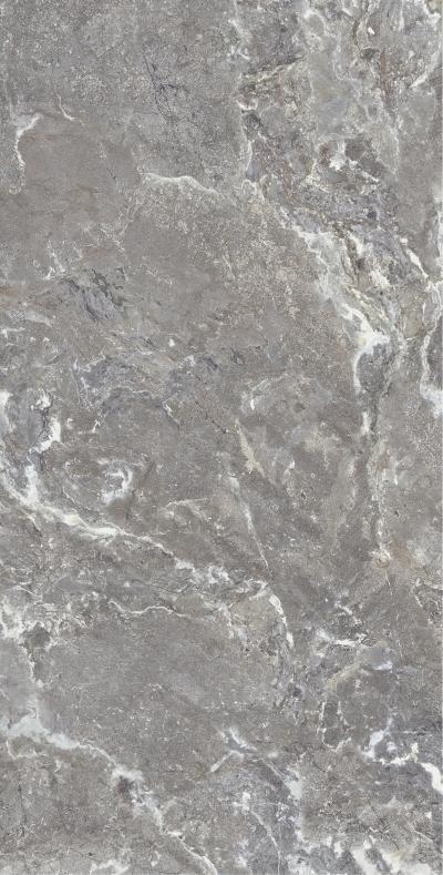 Плитка Allore Group Snake stone Grey 120x60 Mat