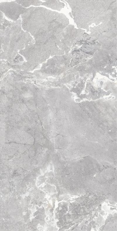 Плитка Allore Group Snake stone Silver 120x60 Mat