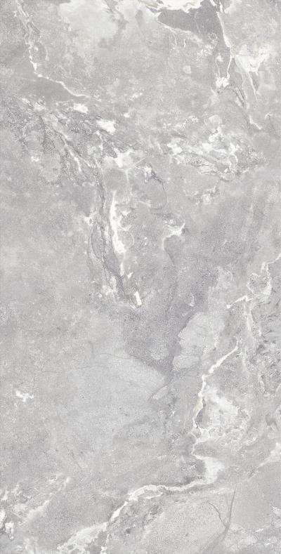 Плитка Allore Group Snake stone Silver 120x60 Mat