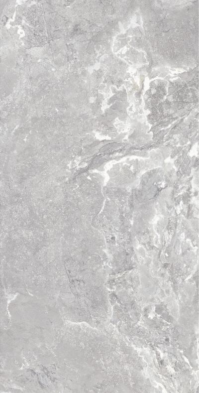 Плитка Allore Group Snake stone Silver 120x60 Mat