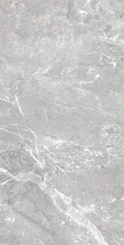 Плитка Allore Group Snake stone Silver 120x60 Mat