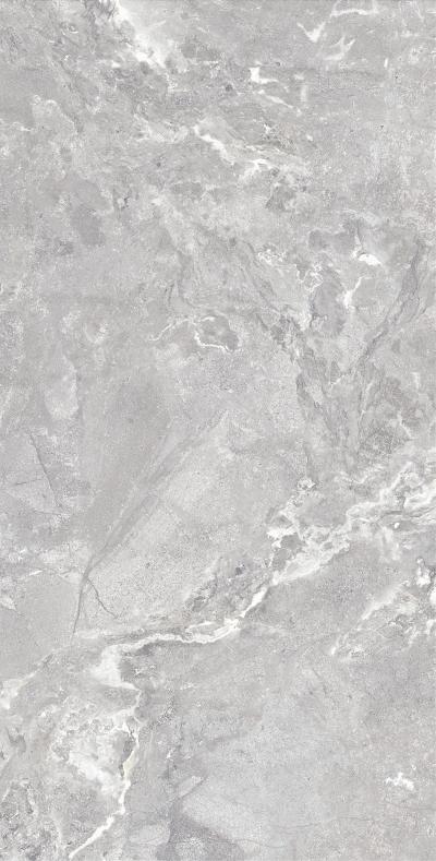 Плитка Allore Group Snake stone Silver 120x60 Mat
