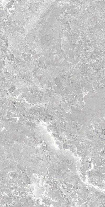 Плитка Allore Group Snake stone Silver 120x60 Mat