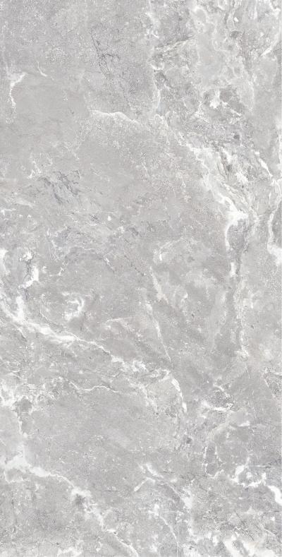 Плитка Allore Group Snake stone Silver 120x60 Mat